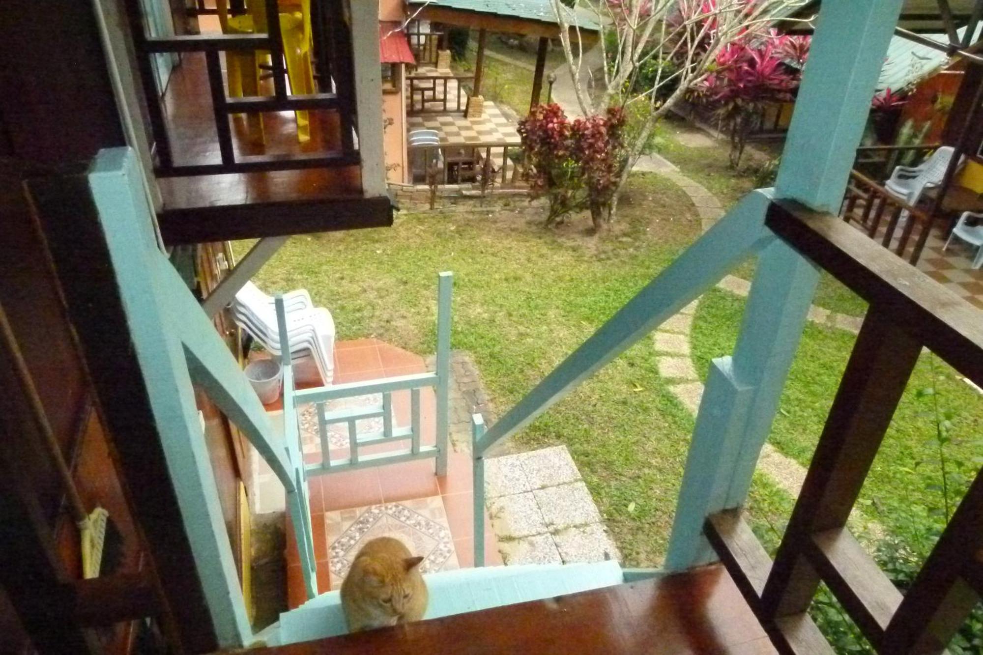 Cheers Garden Chalet Kampong Ayer Batang Exteriér fotografie